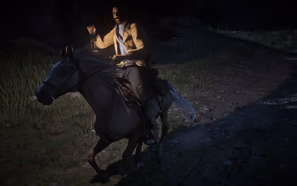 A rider holding a lantern illuminates the night as he journeys through the wilderness.