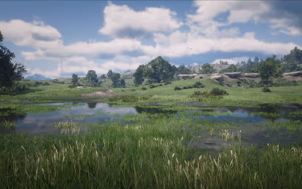 Meadow with wildflowers and greenery, adjacent to a pond. Clear blue sky above, surrounded by trees and chirping birds.