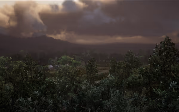 Sunset over dense forest, green trees, cloudy sky, distant hills.