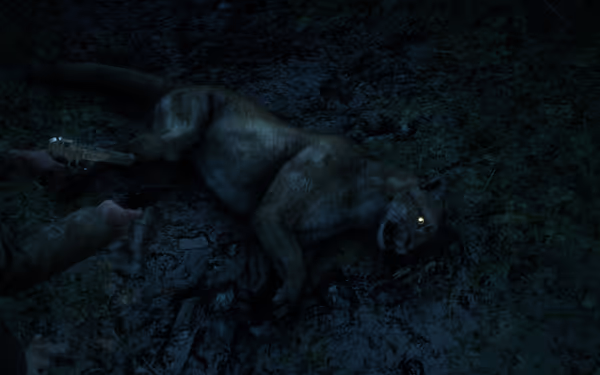 Dead cougar lying on muddy ground, with person aiming pistols nearby.