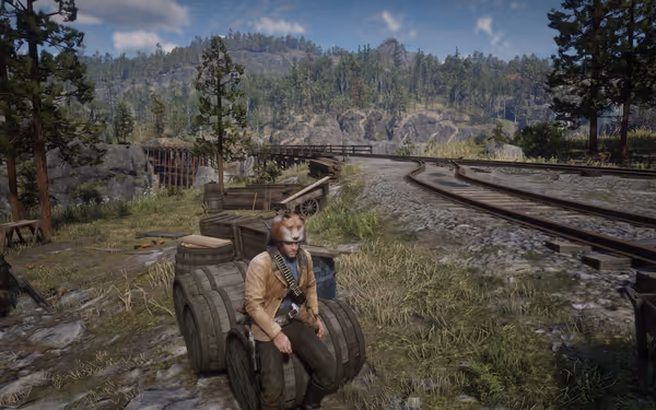 Person sits on barrels near railroad tracks in forested area."