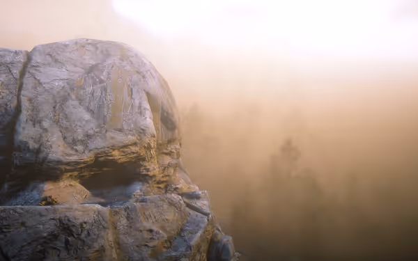 A large rocky cliff overlooks a foggy forest with soft light.
