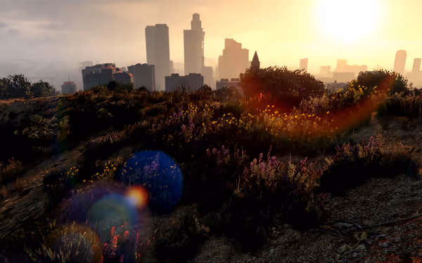 Wildflowers and bushes cover a hilltop overlooking a city skyline at sunrise or sunset.