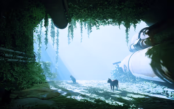 Three cats stand in a sunlit tunnel overgrown with vines and plants.