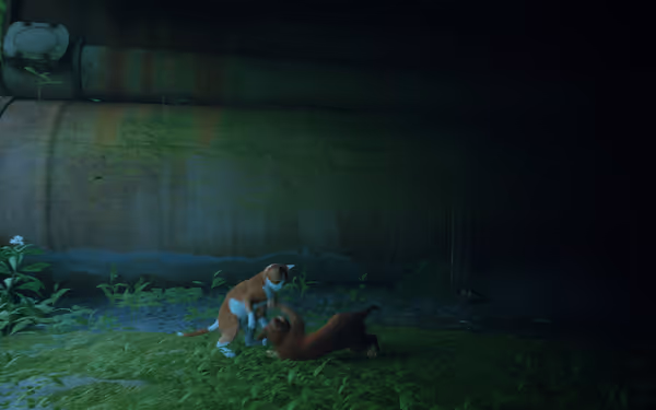 Two cats are playfully fighting on grass near a large rusted pipe in a dark setting