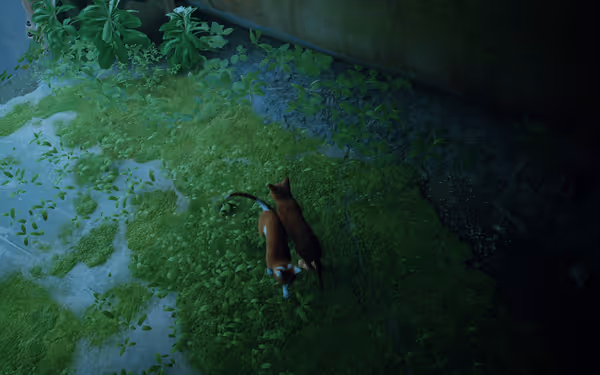 Two cats walk closely together on a mossy floor covered with green plants.