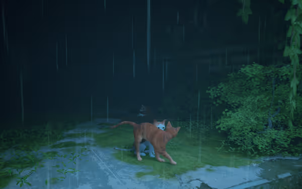 Two cats are play-fighting on wet concrete while it rains, plants and moss nearby.