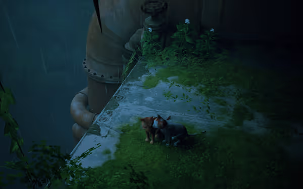 Two cats sit closely together on a mossy ledge beside large metal pipes.