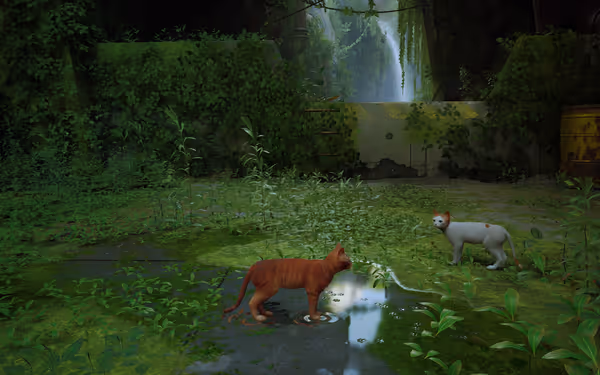 An orange tabby cat and a white cat stand in a lush, overgrown ruin with water.