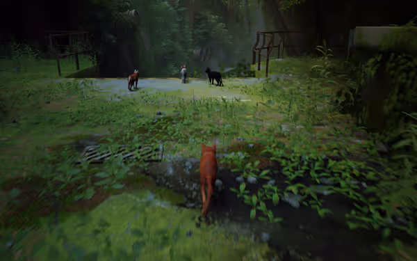 An orange cat runs through lush vegetation toward other animals in a misty forest.