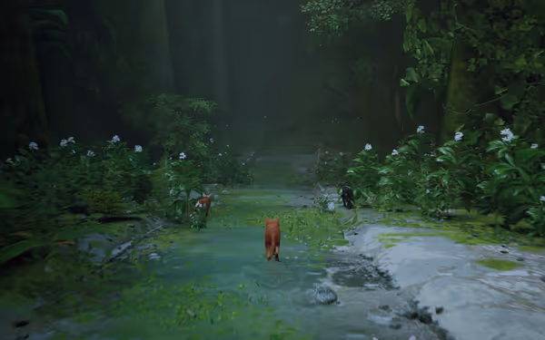Three cats walk along a mossy path surrounded by lush green plants and flowers.