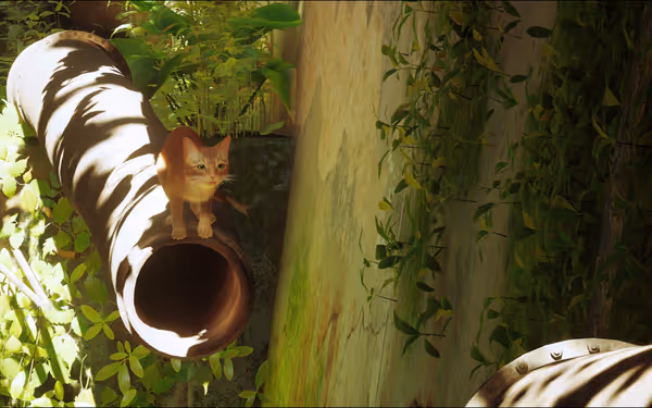A small orange cat stands on a sunlit pipe surrounded by green plants.