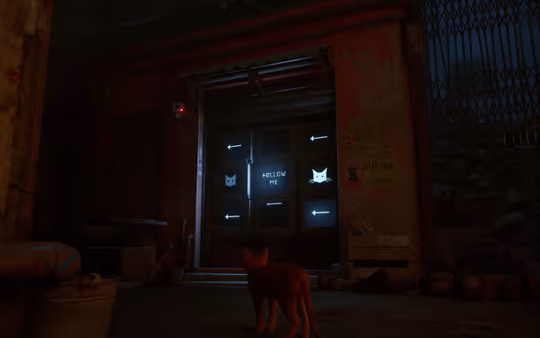 An orange cat sits outside a shop window displaying "FOLLOW ME" with cat icons.