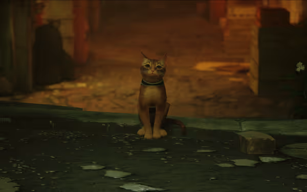 An orange cat with a dark collar sits alone on a cracked street, looking forward.