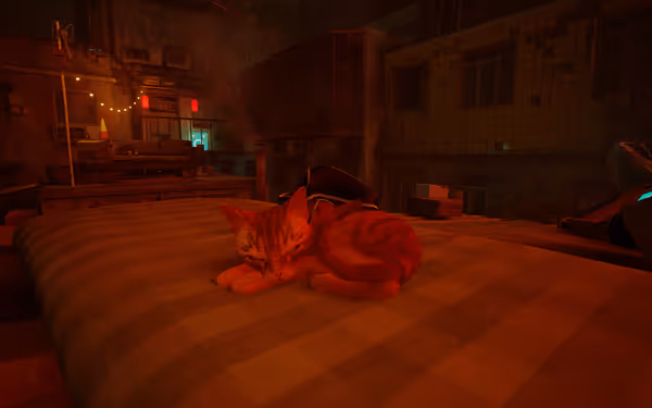 An orange cat with a small harness naps on a striped bed in a cozy room.