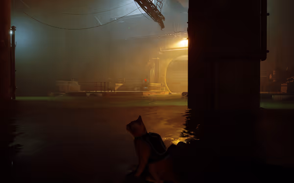 An orange cat wearing a harness sits by water in a dimly lit industrial facility.