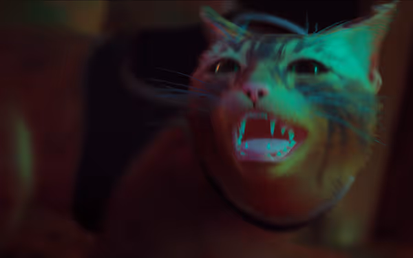 A close-up of a cat hissing with mouth open, fangs bared, neon-lit.
