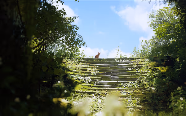 An orange cat stands atop mossy stone stairs lit by sunlight, surrounded by greenery.